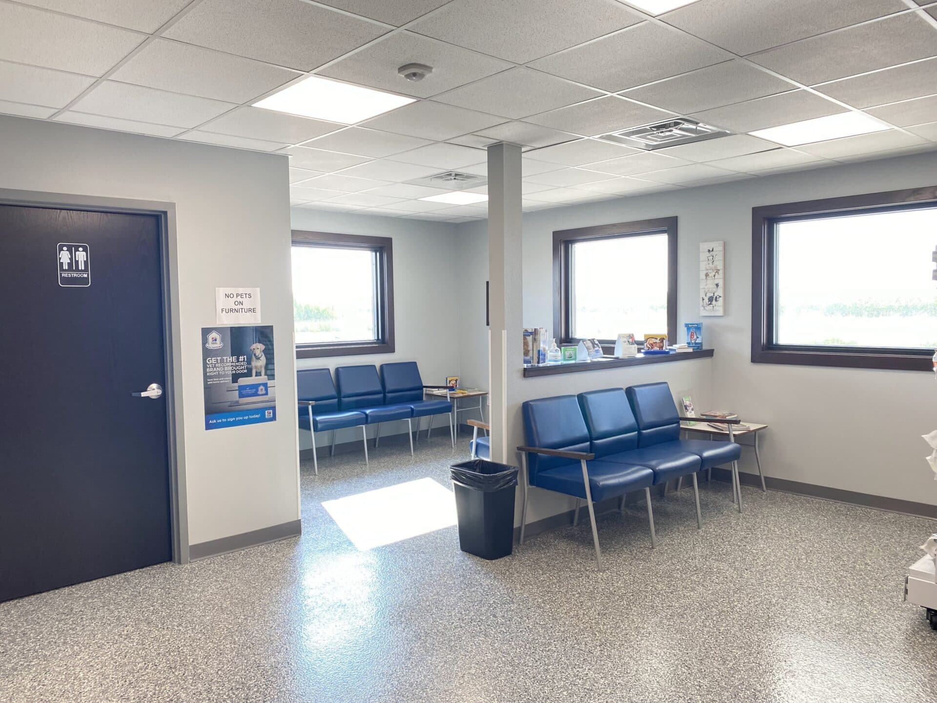 clinic-tour-forest-city-veterinary-clinic-dedicated-vet-care-in-ia