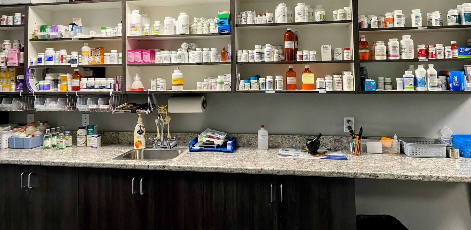 clinic-tour-forest-city-veterinary-clinic-dedicated-vet-care-in-ia